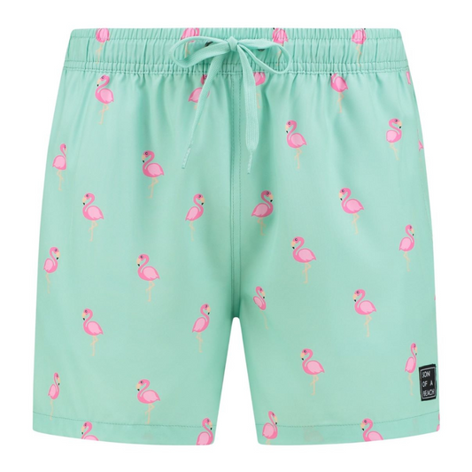 Flamingo, Groen, Jongens zwembroek